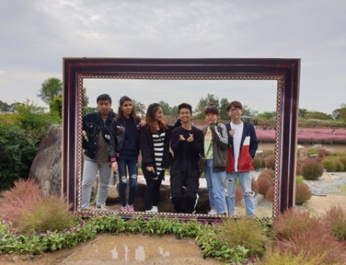 2019 가을학기 CA (하늘공원, 핑크뮬리)